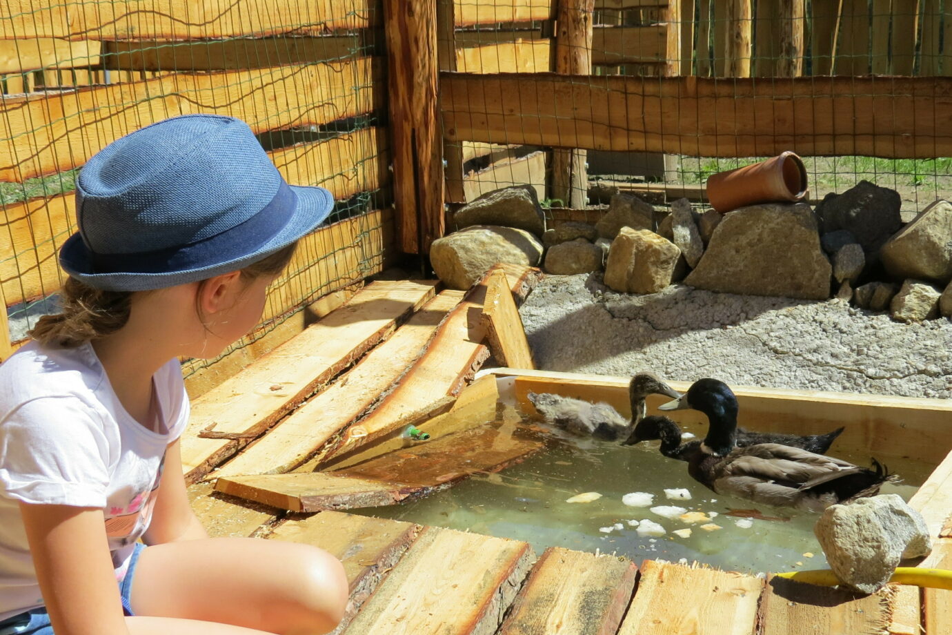 I bambini in fattoria - Vacanze per bambini, Pension Ladestatthof